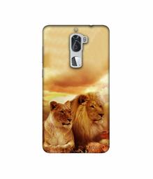 Amazon Brand - Solimo Designer Lion with Lioness 3D Printed Hard Back Case Mobile Cover for Coolpad Cool1 Dual