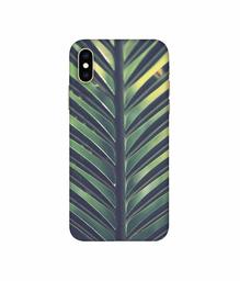 Amazon Brand - Solimo Designer Leaf Texture 3D Printed Hard Back Case Mobile Cover for Apple iPhone Xs Max