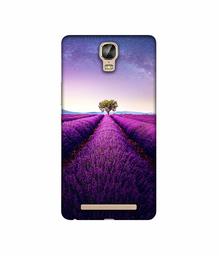 Amazon Brand - Solimo Designer Farm Photography 3D Printed Hard Back Case Mobile Cover for Gionee Marathon M5 Plus