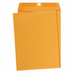 AmazonBasics 9 x 12 Clasp Envelopes with Deeply Gummed Flaps, Great for Filing, Storing or Mailing Documents, 28 lb, 100-Pack