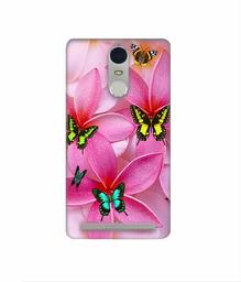 Amazon Brand - Solimo Designer B-Butterflies 3D Printed Hard Back Case Mobile Cover for Lenovo K5 Note