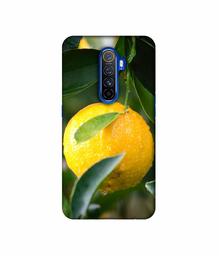 Amazon Brand - Solimo Designer Lemon 3D Printed Hard Back Case Mobile Cover for Oppo Reno Ace/Realme X2 Pro