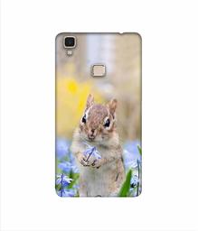 Amazon Brand - Solimo Designer Squirrel 3D Printed Hard Back Case Mobile Cover for Vivo V3 Max