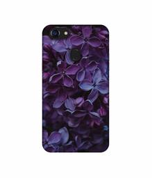 Amazon Brand - Solimo Designer Purple Flowers UV Printed Soft Back Case Mobile Cover for Oppo F5