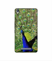 Amazon Brand - Solimo Designer Peacock 3D Printed Hard Back Case Mobile Cover for Micromax Canvas Juice 3Plus Q394