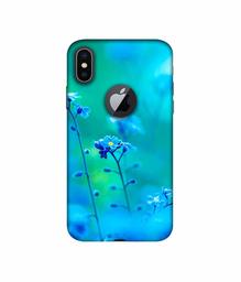 Amazon Brand - Solimo Designer Blue Flower 3D Printed Hard Back Case Mobile Cover for Apple iPhone X (Logo Cut)