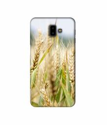 Amazon Brand - Solimo Designer Wheat Plant 3D Printed Hard Back Case Mobile Cover for Samsung Galaxy J6 Plus