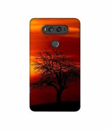 Amazon Brand - Solimo Designer Nature View 3D Printed Hard Back Case Mobile Cover for LG V20