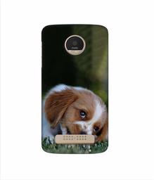 Amazon Brand - Solimo Designer Cute Puppy 3D Printed Hard Back Case Mobile Cover for Motorola Moto Z Play