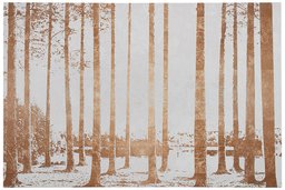 Amazon Brand – Rivet Copper-Toned Photo Print Wall Art of Sunrise Through the Trees in Swamp, 24