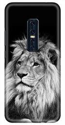 Amazon Brand - Solimo Designer Lion Design 3D Printed Hard Back Case Mobile Cover for Vivo V17 Pro