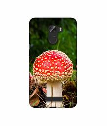 Amazon Brand - Solimo Designer Red Mushroom 3D Printed Hard Back Case Mobile Cover for Gionee A1 Lite