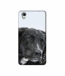 Amazon Brand - Solimo Designer Labrador Dog 3D Printed Hard Back Case Mobile Cover for Vivo Y31