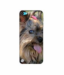 Amazon Brand - Solimo Designer Hairy Puppy 3D Printed Hard Back Case Mobile Cover for Apple iPod Touch 5th Generation