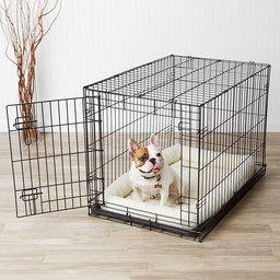 AmazonBasics Single-Door Dog Crate and Padded Bolster Bed – Medium