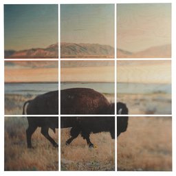 Amazon Brand – Rivet 9-Piece Southwest Bison Desert Mural Wall Art on Wood, 60