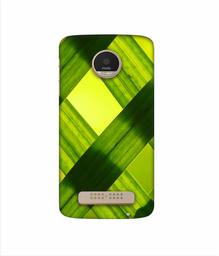 Amazon Brand - Solimo Designer Leafs Texture 3D Printed Hard Back Case Mobile Cover for Motorola Moto Z Play