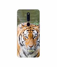 Amazon Brand - Solimo Designer Tiger in Water 3D Printed Hard Back Case Mobile Cover for Oppo F11 Pro