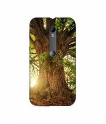 Amazon Brand - Solimo Designer Tree Trunk 3D Printed Hard Back Case Mobile Cover for Motorola Moto G 3rd Generation