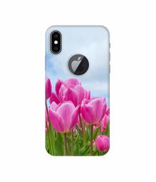 Amazon Brand - Solimo Designer Pink Lily 3D Printed Hard Back Case Mobile Cover for Apple iPhone Xs Max (Logo Cut)