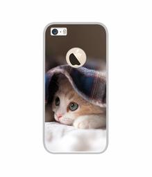 Amazon Brand - Solimo Designer Sleepy Kitten UV Printed Soft Back Case Mobile Cover for Apple iPhone 5 / 5S