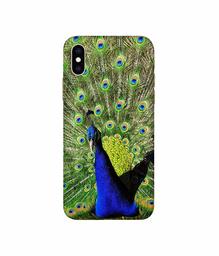 Amazon Brand - Solimo Designer Peacock 3D Printed Hard Back Case Mobile Cover for Apple iPhone Xs Max