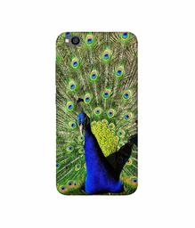 Amazon Brand - Solimo Designer Peacock 3D Printed Hard Back Case Mobile Cover for Xiaomi Redmi Go