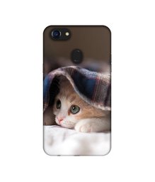 Amazon Brand - Solimo Designer Sleepy Kitten UV Printed Soft Back Case Mobile Cover for Oppo F5