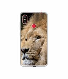 Amazon Brand - Solimo Designer Lion UV Printed Soft Back Case Mobile Cover for Redmi Note 6 Pro