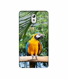 Amazon Brand - Solimo Designer Macaw Bird 3D Printed Hard Back Case Mobile Cover for Lenovo Vibe P1M