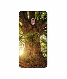 Amazon Brand - Solimo Designer Tree Trunk 3D Printed Hard Back Case Mobile Cover for Nokia 2.1