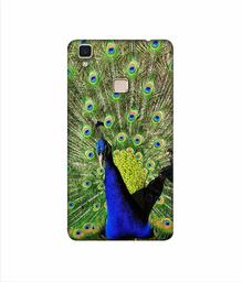 Amazon Brand - Solimo Designer Peacock 3D Printed Hard Back Case Mobile Cover for Vivo V3 Max