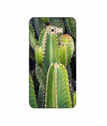 Amazon Brand - Solimo Designer Desert Plant 3D Printed Hard Back Case Mobile Cover for Samsung Galaxy C7 Pro