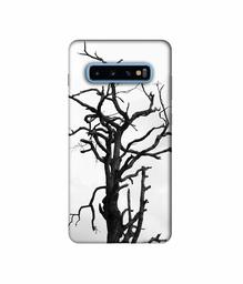 Amazon Brand - Solimo Designer Dark Tree 3D Printed Hard Back Case Mobile Cover for Samsung Galaxy S10 Plus