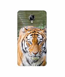 Amazon Brand - Solimo Designer Tiger in Water 3D Printed Hard Back Case Mobile Cover for OnePlus 3 / OnePlus 3T