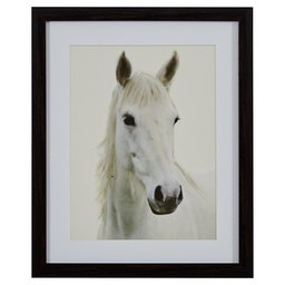 Amazon Brand – Stone & Beam Modern Photo of White Horse, Brown Frame, 18