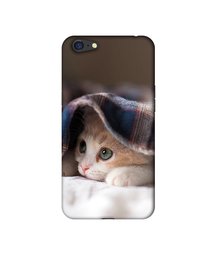 Amazon Brand - Solimo Designer Sleepy Kitten 3D Printed Hard Back Case Mobile Cover for Oppo A71