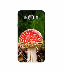 Amazon Brand - Solimo Designer Red Mushroom 3D Printed Hard Back Case Mobile Cover for Samsung Galaxy E5