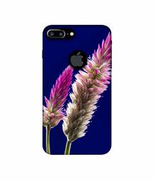 Amazon Brand - Solimo Designer Wheat Flower 3D Printed Hard Back Case Mobile Cover for Apple iPhone 7 Plus (Logo Cut)