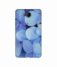 Amazon Brand - Solimo Designer Light Blue Flower Photography 3D Printed Hard Back Case Mobile Cover for Microsoft Lumia 650