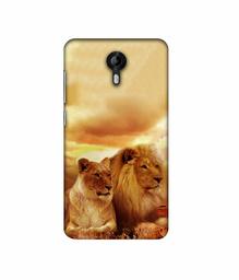 Amazon Brand - Solimo Designer Lion with Lioness 3D Printed Hard Back Case Mobile Cover for Micromax Canvas Nitro 4G E455