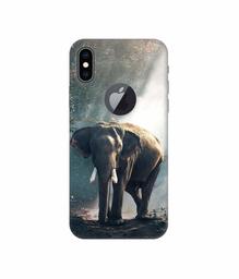 Amazon Brand - Solimo Designer Elephant 3D Printed Hard Back Case Mobile Cover for Apple iPhone Xs Max (Logo Cut)