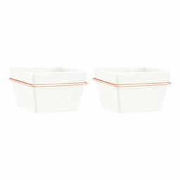 AmazonBasics Wall Planter, Square - White/Copper (2-Pack)