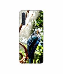 Amazon Brand - Solimo Designer Macaw Parrot 3D Printed Hard Back Case Mobile Cover for Oppo F15