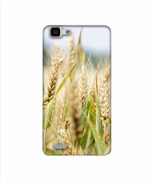 Amazon Brand - Solimo Designer Wheat Plant 3D Printed Hard Back Case Mobile Cover for Vivo Y27L