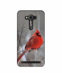 Amazon Brand - Solimo Designer Red Engry Bird 3D Printed Hard Back Case Mobile Cover for Asus Zenfone 2 Laser ZE550 KL