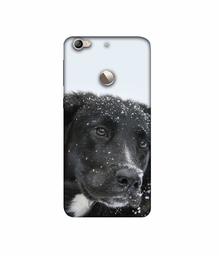 Amazon Brand - Solimo Designer Labrador Dog 3D Printed Hard Back Case Mobile Cover for LeTV Le 1s