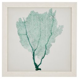 Amazon Brand – Stone & Beam Classic Teal Sea Fan Coral Coastal Print Wall Art Decor - 23