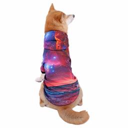 Eono Essentials Novelty 3D Print Starry Sky Base Dog Hoodie, Polyester Pet Sweatshirt / Clothing for Small / Medium Dogs, for All Seasons, 4xl