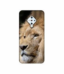 Amazon Brand - Solimo Designer Lion 3D Printed Hard Back Case Mobile Cover for Vivo S1 Pro